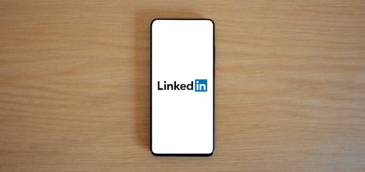 Backlink Company