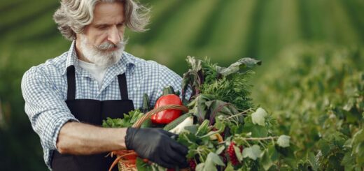 organic agricultural supplies