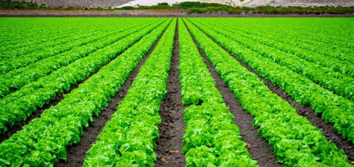 organic farming supplies