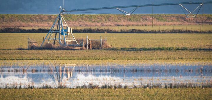 irrigation system