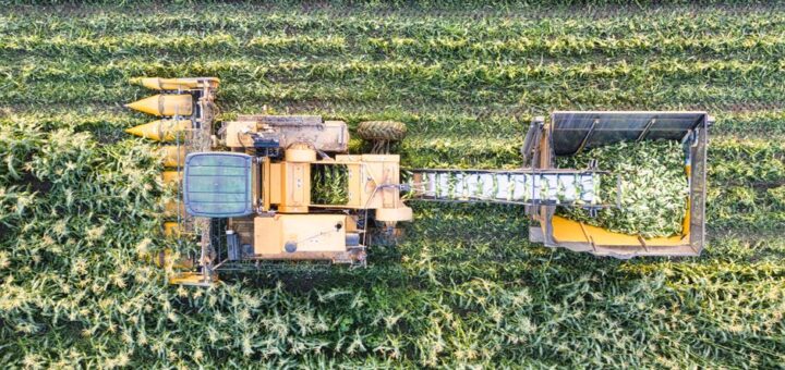 crop insurance