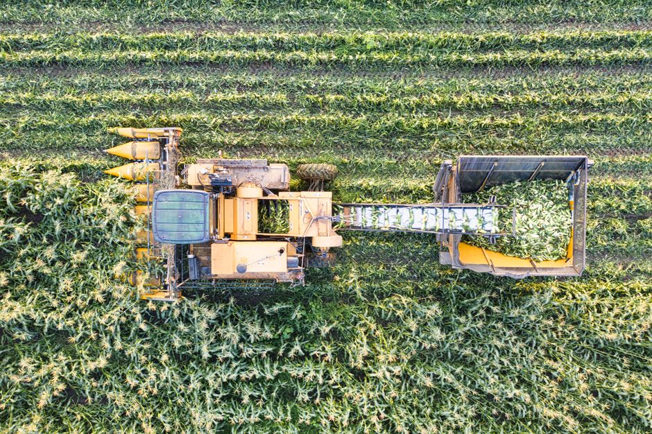 crop insurance
