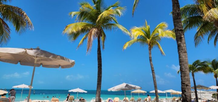 vacation packages